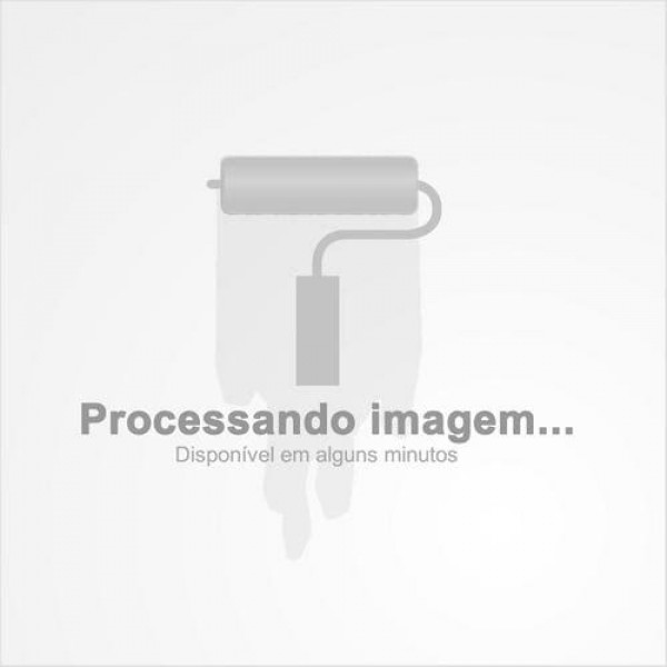 Pisante Porta Traseira Direita Toyota Rav4 2007/12