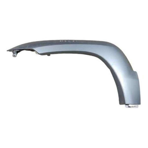 Aplique Paralama Esquerdo Toyota Prado 2002 A 2009 Prata